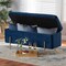Baxton Studio Rockwell Glam and Luxe Navy Blue Velvet Upholstered and Gold Finished Metal Storage Bench 198-12209-ZORO - alternate 9